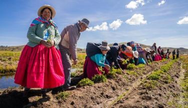 © UNDP/MINAM/PPD/Nuria Angeles Residents of Thunco in Ácora, Peru, harvest their produce.