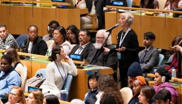 UN Photo/Evan Schneider. A participant addresses a townhall meeting between the UN Secretary General and civil society groups.