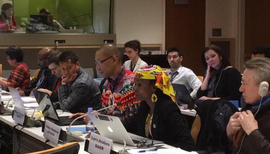 Expert meeting on UN Declaration on the Rights of Indigenous Peoples