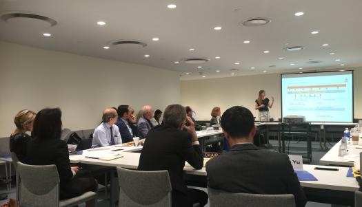 EGM on Strategies for Eradicating Poverty to Achieve the SDGs, 1-3 June 2016