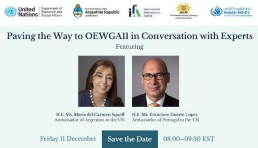 Paving the Way to OEWGA11 in Conversation with Experts