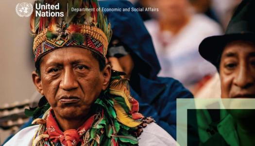 Launch of State of the World’s Indigenous Peoples, Volume V on “Rights to Lands, Territories and Resources”