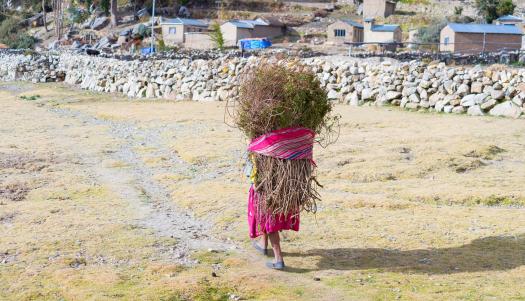 UNDP Photo