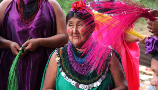 An indigenous Woman