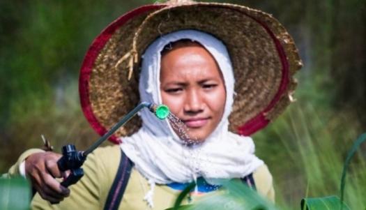 A woman spraying plants