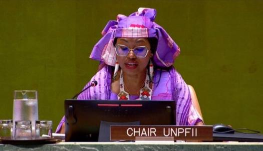 Statement by the Chairperson of the United Nations Permanent Forum on Indigenous Issues and the Special Rapporteur on the Rights of Indigenous Peoples