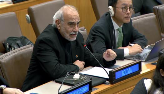 Ambassador of Bolivia