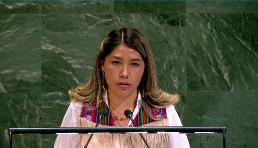 Photo of Bolivia introducing resolution