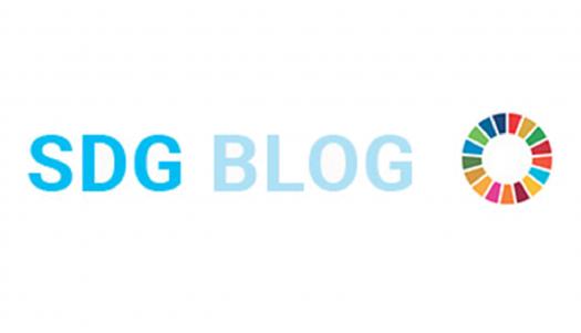SDG Blog