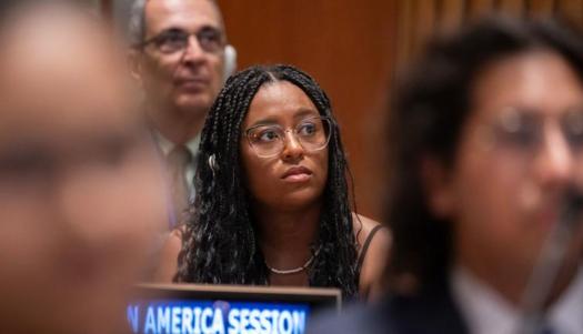 UN Photo/Manuel Elías A participant attends the Economic and Social Council Youth Forum (ECOSOC) at UN Headquarters in New York.